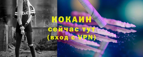 мяу мяу мука Бородино